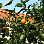 فندق Giardino مودونيو