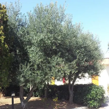 מלון Giardino מודוניו