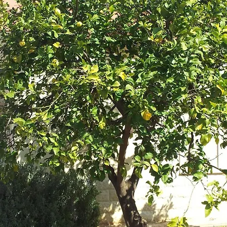 Hotel Giardino 3*