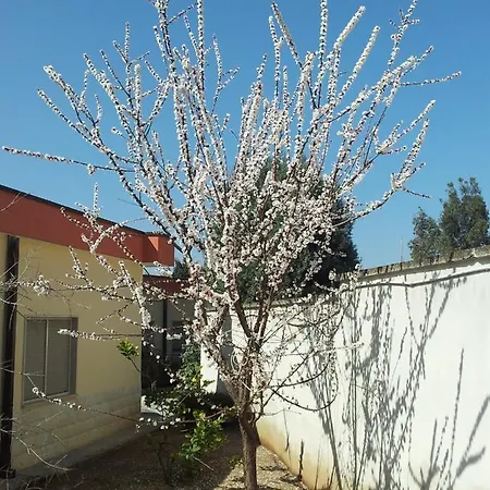 Giardino מלון