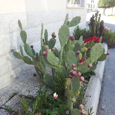 Giardino 3* مودونيو