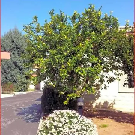 Giardino מודוניו