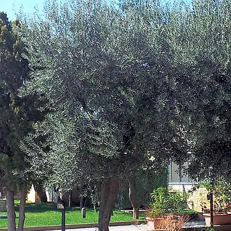 Giardino Hotel 3*