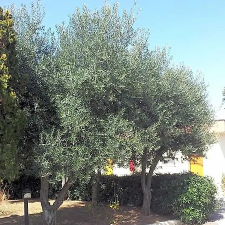 Giardino מלון מודוניו