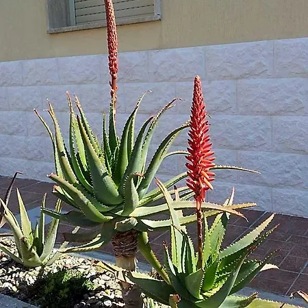 Giardino מלון