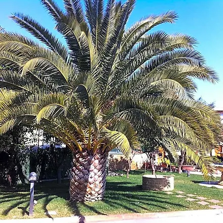 מלון Giardino מודוניו
