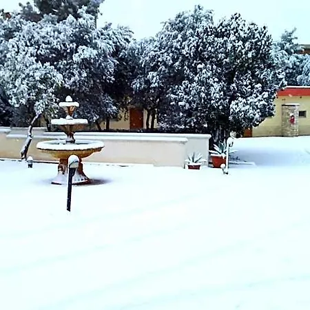 Giardino