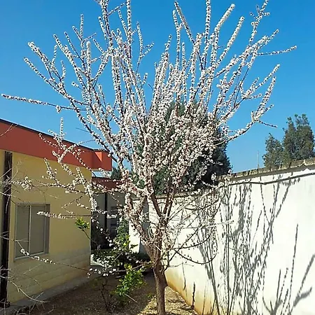 Hotel Giardino 3*