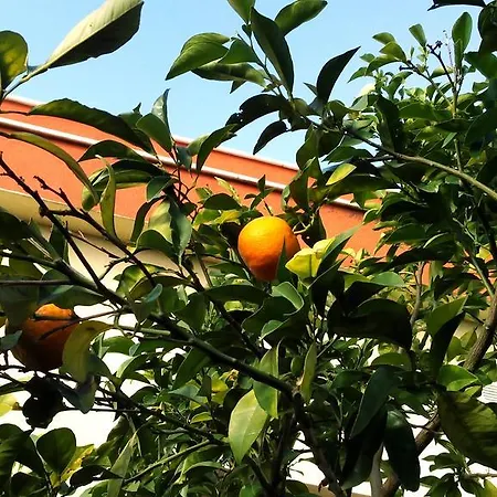 ホテル Giardino モドゥーニョ