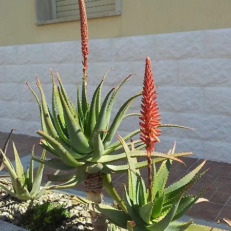 Giardino モドゥーニョ