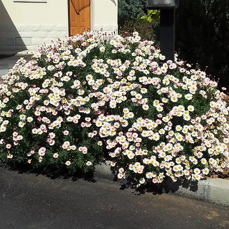 Giardino Hotel 3*