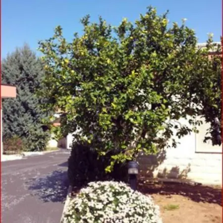 מלון Giardino מודוניו